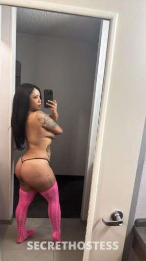 KAT 27Yrs Old Escort San Jose CA Image - 2
