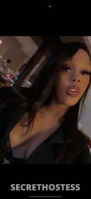 Millz 21Yrs Old Escort Los Angeles CA Image - 3