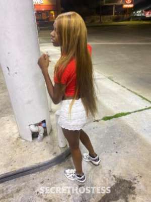 Nini 20Yrs Old Escort San Antonio TX Image - 1