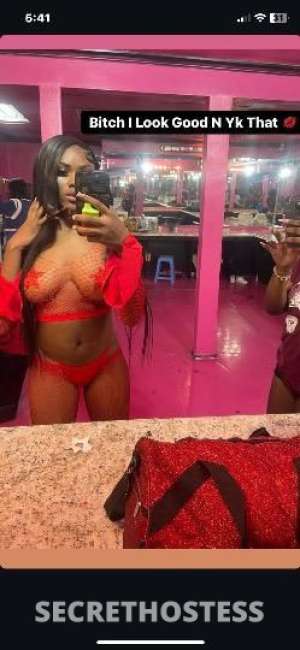 Nini 20Yrs Old Escort San Antonio TX Image - 2