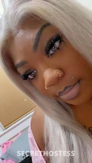 24 year old Escort in Queens NJ Busty Pink Pussy