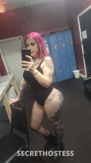 29 year old Escort in Tampa FL Big booty brianna