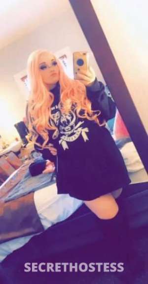 Bunny 22Yrs Old Escort 165CM Tall Cincinnati OH Image - 1