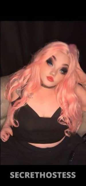 Bunny 22Yrs Old Escort 165CM Tall Cincinnati OH Image - 3