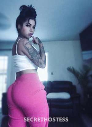 25 year old Puerto Rican Escort in San Diego CA SPICY LATiiNA MAMii