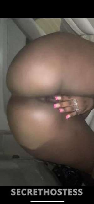 Chocolatebubblez 27Yrs Old Escort Brooklyn NY Image - 2