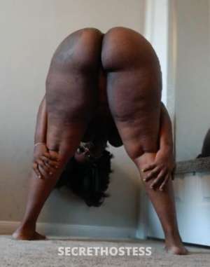 Hurrikayne 27Yrs Old Escort Houston TX Image - 4
