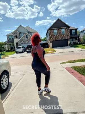 Hurrikayne 27Yrs Old Escort Houston TX Image - 8