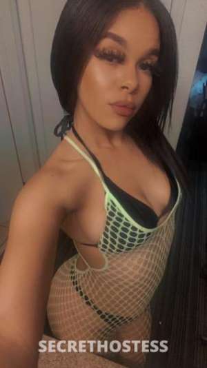 Nicole 24Yrs Old Escort Los Angeles CA Image - 1