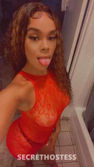 Nicole 24Yrs Old Escort Los Angeles CA Image - 3
