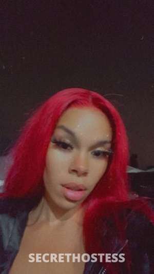 Nicole 24Yrs Old Escort Los Angeles CA Image - 6
