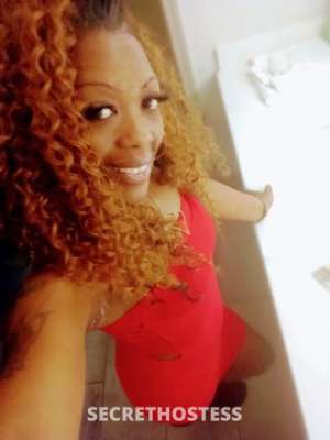 POISON 35Yrs Old Escort Memphis TN Image - 2
