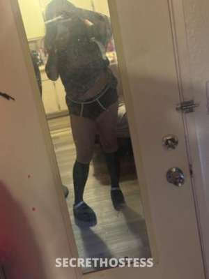 24 year old Escort in San Jose CA ??MRS. CERTIFIED FREAK✅? specials