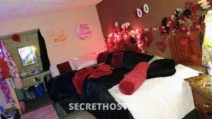 28Yrs Old Escort Tampa FL Image - 2