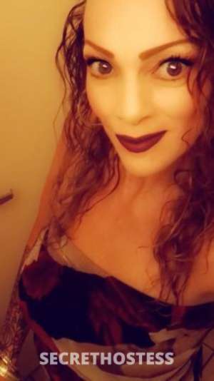 ?COUGAR? 48Yrs Old Escort Phoenix AZ Image - 2