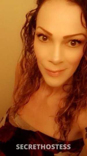 ?COUGAR? 48Yrs Old Escort Phoenix AZ Image - 4