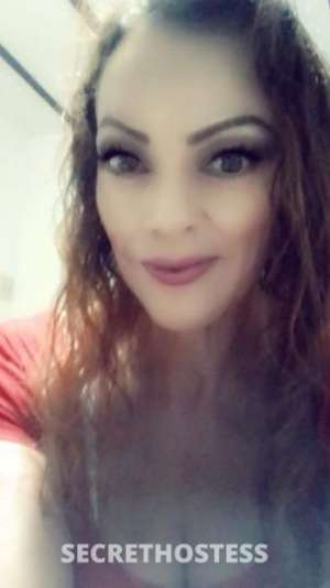 ?COUGAR? 48Yrs Old Escort Phoenix AZ Image - 6