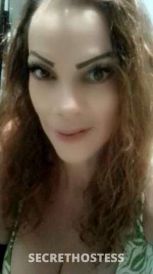 ?COUGAR? 48Yrs Old Escort Phoenix AZ Image - 8