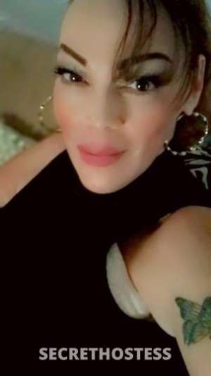 ?COUGAR? 48Yrs Old Escort Phoenix AZ Image - 9