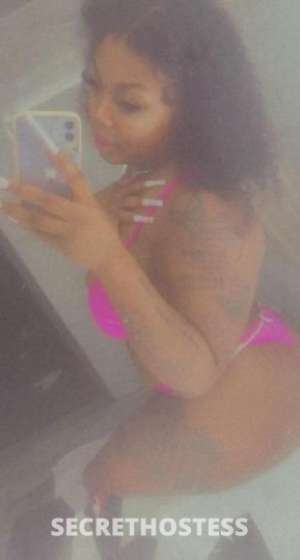 AlexisWett 23Yrs Old Escort Oakland CA Image - 4