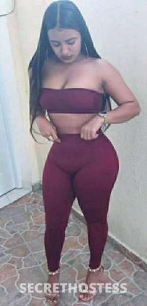 Katerin 25Yrs Old Escort Miami FL Image - 1