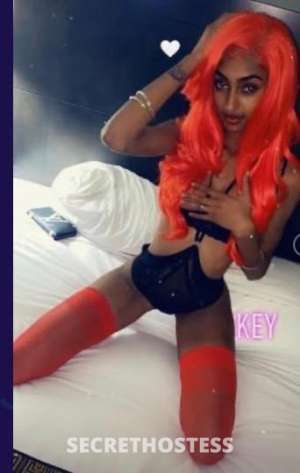Key 24Yrs Old Escort Monterey CA Image - 10