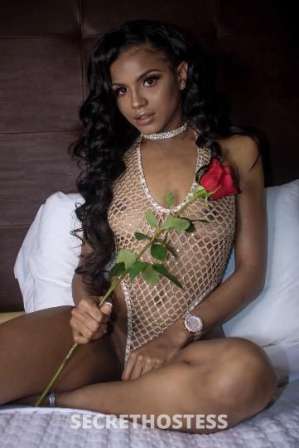 24 year old Puerto Rican Escort in Dallas TX Come see me! 100% real! Upscale location FT !and 