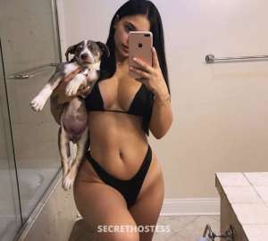 0 year old Caucasian Escort in San Diego CA Nicolette D