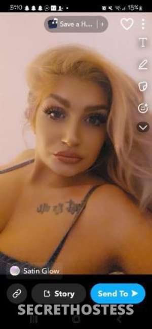28 year old Escort in San Diego CA wet tight pussy