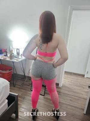 Meet Ginger in Edmonton