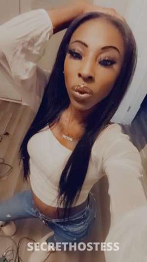 Hershey 25Yrs Old Escort Canton OH Image - 3