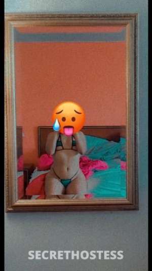 PleasureP 26Yrs Old Escort Saint Louis MO Image - 4