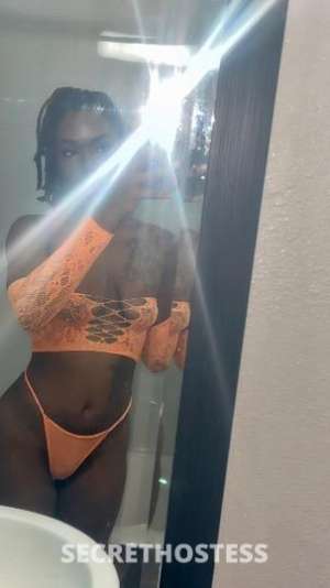 Pretty Chocolate Petite in Mid Cities TX