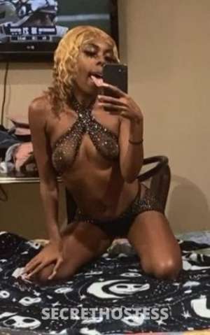 Bella 25Yrs Old Escort Santa Cruz CA Image - 0