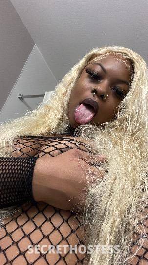 Milan 24Yrs Old Escort Harrisburg PA Image - 1