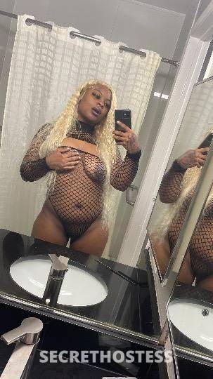Milan 24Yrs Old Escort Harrisburg PA Image - 4