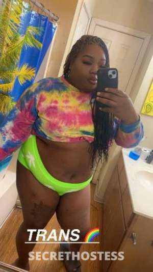 starkville, ms BBW TRANNY in North Mississippi MS