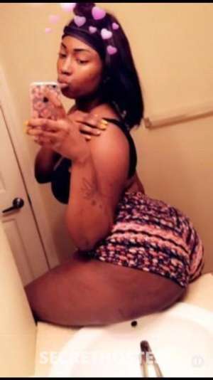 The real stallion in North Mississippi MS