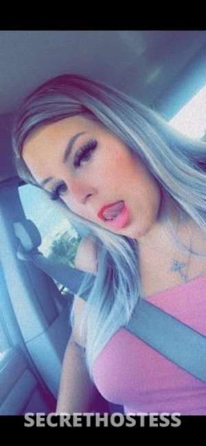 Lexi 25Yrs Old Escort Tampa FL Image - 2