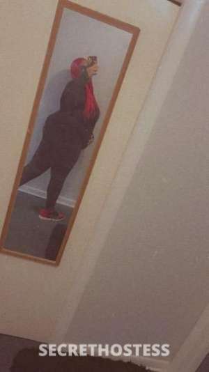 29 year old Escort in Chicago IL BJ $60 BBJ $80 QV $100 Hhr $120 Hr $150 OUTCALLS OLDER GUYS 