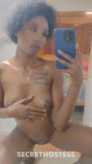 Kandii 27Yrs Old Escort Miami FL Image - 1