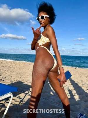 Kandii 27Yrs Old Escort Miami FL Image - 2