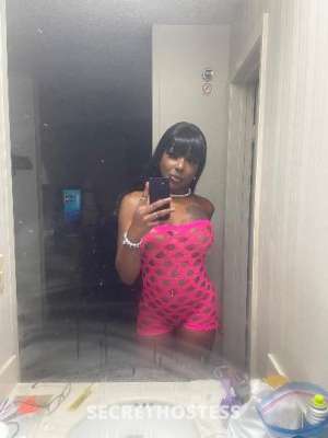 23 year old Escort in Los Angeles CA NEW COOCHIE! hawthrone california?? LAX AIRPORT
