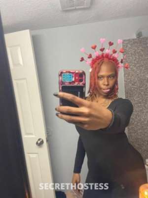 Autumn 24Yrs Old Escort Orlando FL Image - 1