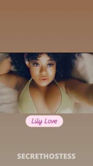 28Yrs Old Escort Tampa Bay Area FL Image - 3