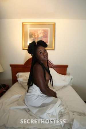 Jaylababy 25Yrs Old Escort Little Rock AR Image - 4