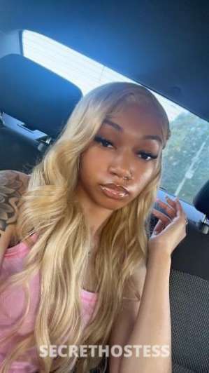 18 year old Escort in Amarillo TX Looking