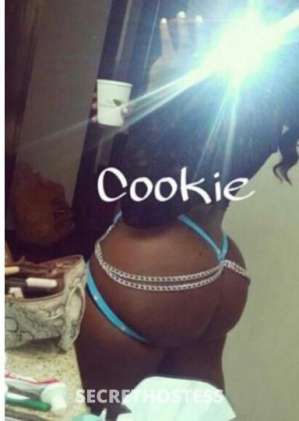 28 year old Escort in San Jose CA hour special incall come to the best forget the rest