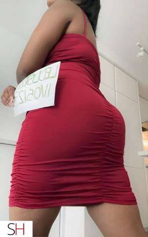 28Yrs Old Escort Tricities/Pitt/Maple Image - 1