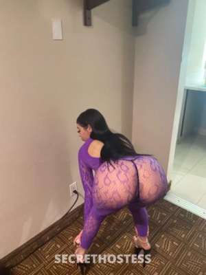 20 year old Escort in Los Angeles CA Let Me Turn Your fantasies Into Reality